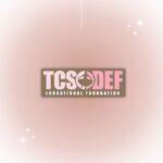 Pixels + Ems Portfolio - TCSDEF